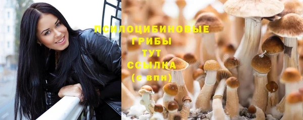 гидра Беломорск