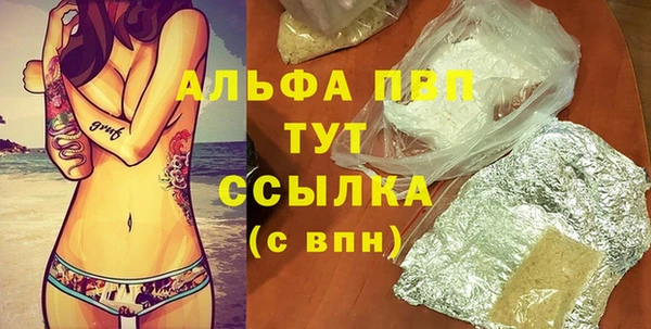 сатива Новокубанск