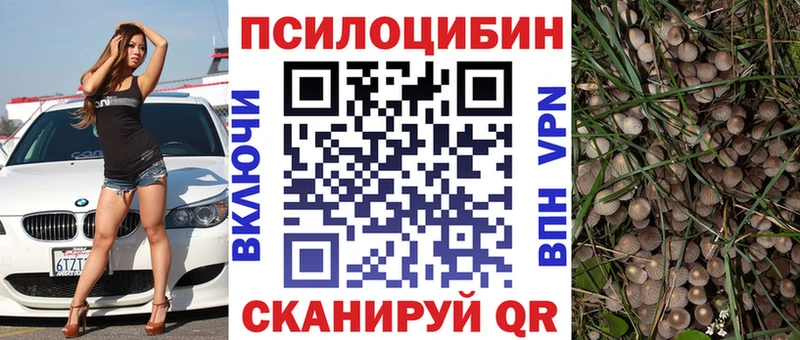 Галлюциногенные грибы Cubensis  где купить наркоту  Тобольск 